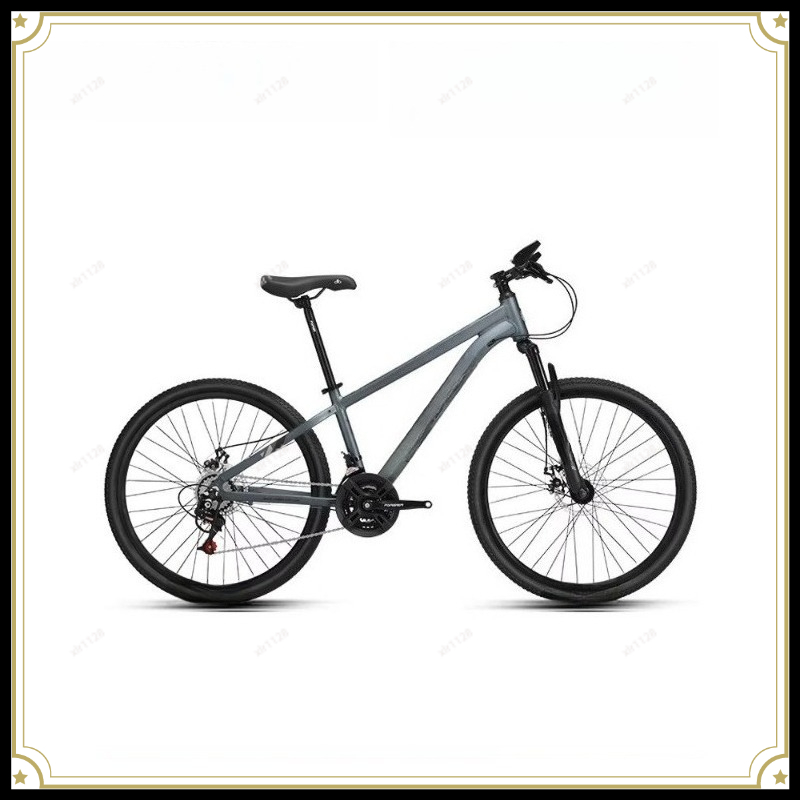 Commuter Biking - Bicicletta da montagna a velocità variabile